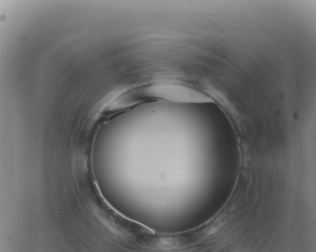 X0000062930060200601202037