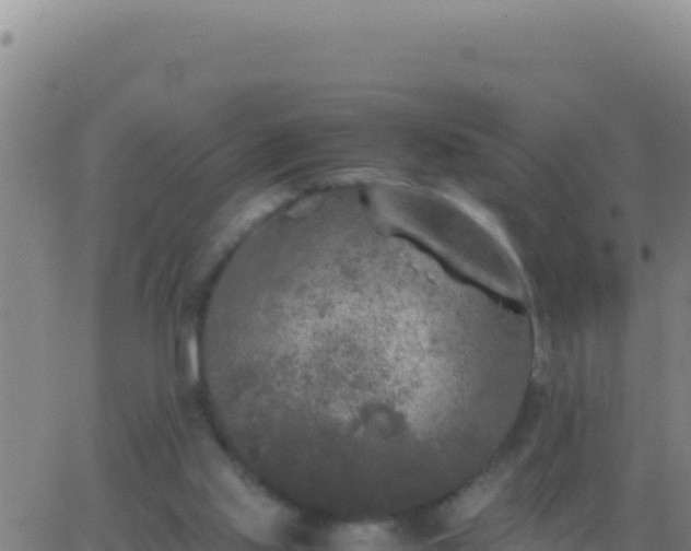 X0000062930061200601202037