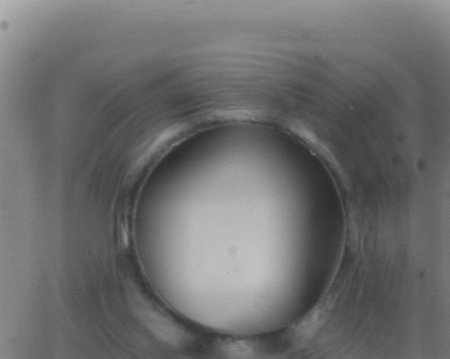 X0000062930062200601202037