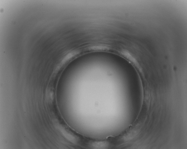 X0000062930063200601202037