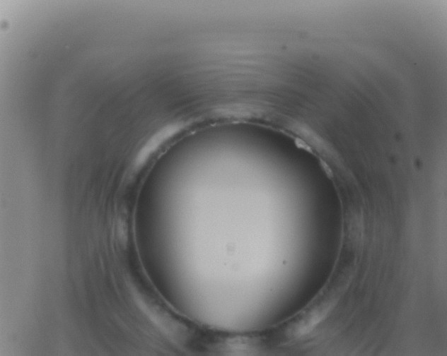 X0000062930064200601202037