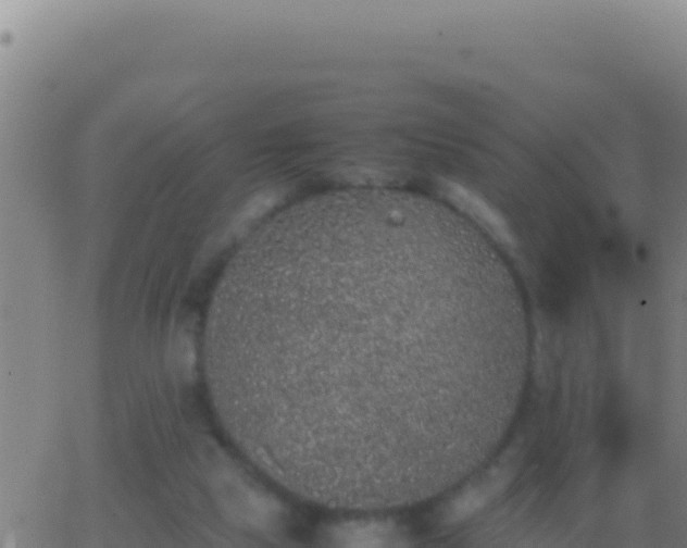 X0000062930065200601202037