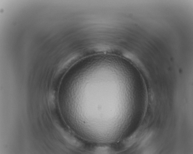 X0000062930066200601202037