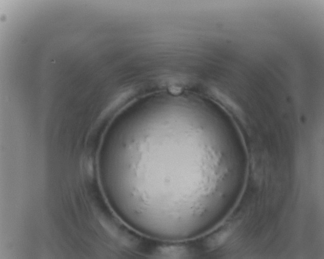 X0000062930067200601202037