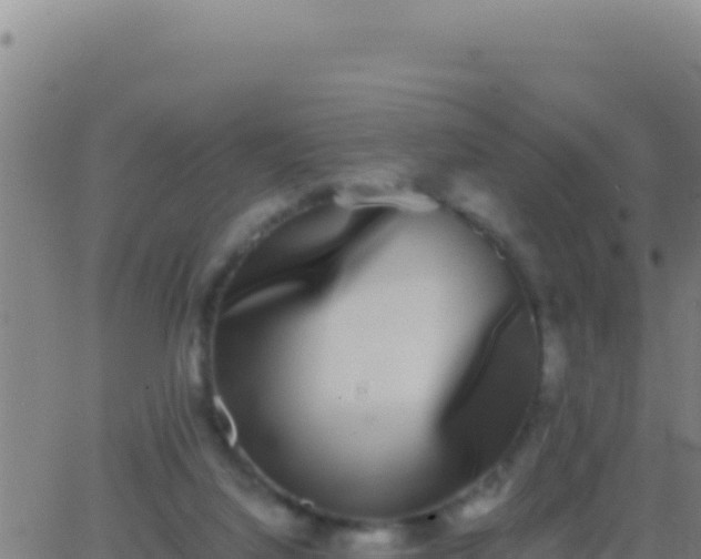 X0000062930068200601202037