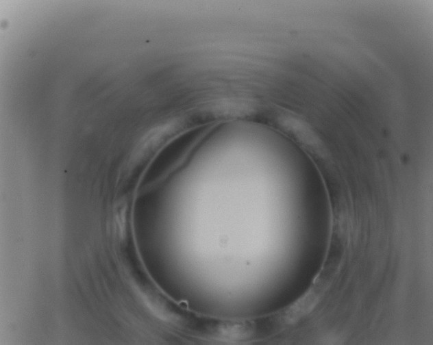 X0000062930070200601202037