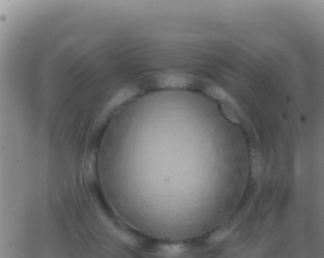 X0000062930071200601202037