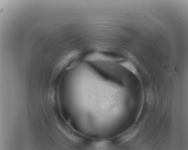 X0000062930072200601202037