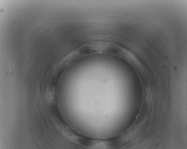 X0000062930073200601202037