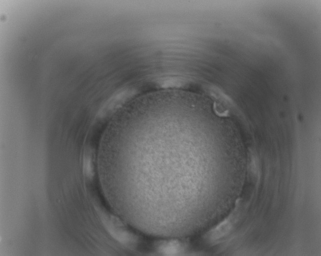 X0000062930074200601202037