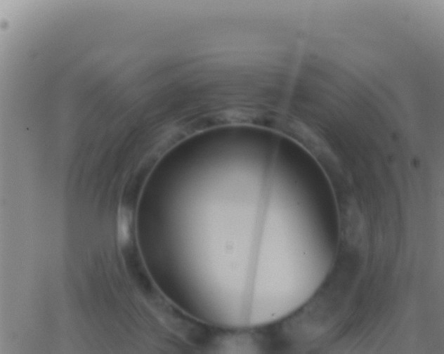 X0000062930075200601202037