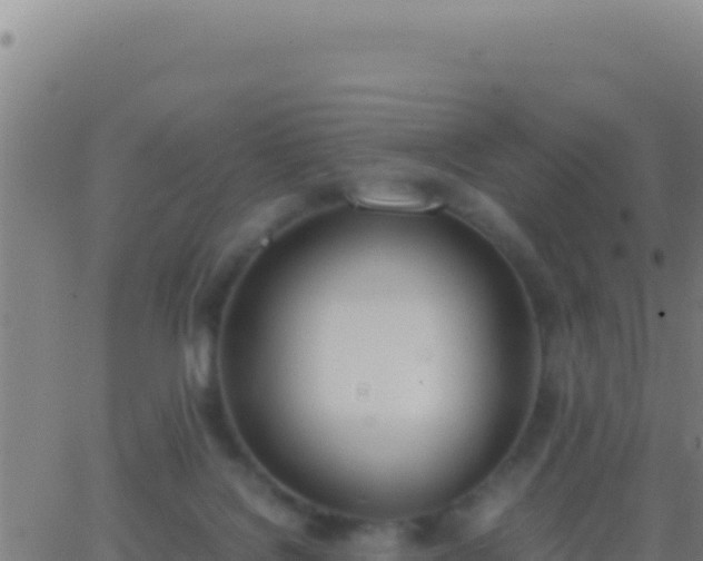 X0000062930076200601202037