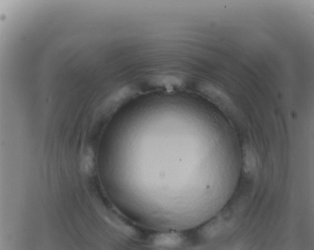 X0000062930077200601202037