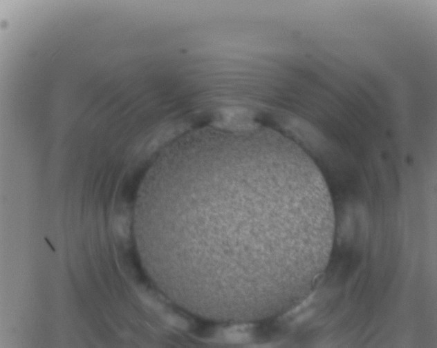 X0000062930078200601202037