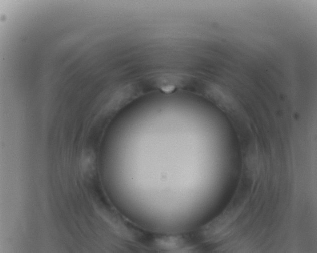 X0000062930079200601202037