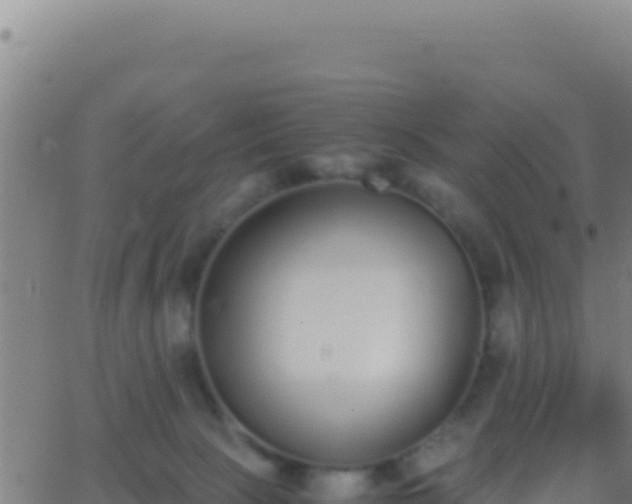 X0000062930081200601202037