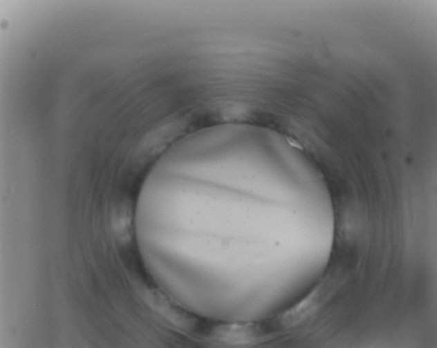 X0000062930082200601202037