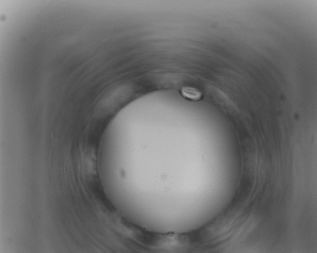 X0000062930083200601202037