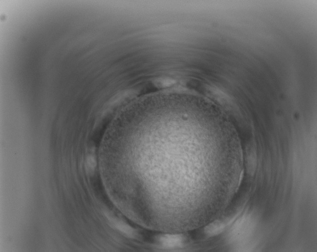 X0000062930085200601202037