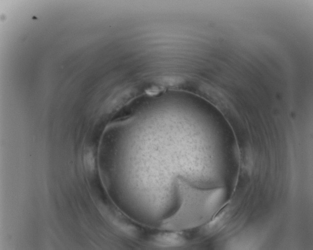 X0000062930086200601202037