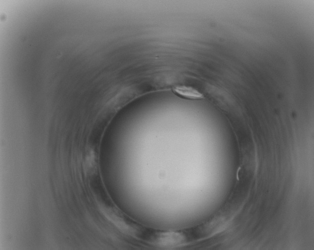 X0000062930087200601202037