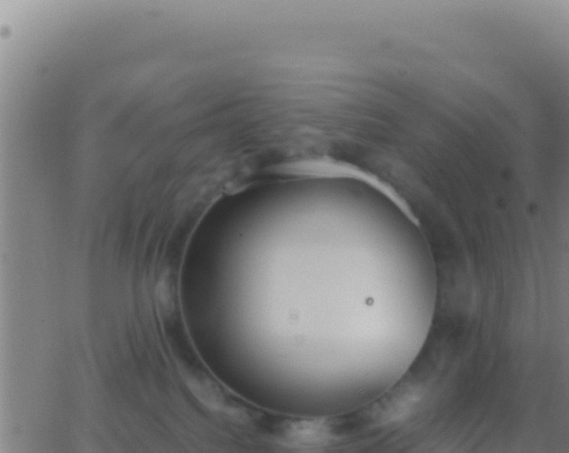 X0000062930088200601202037