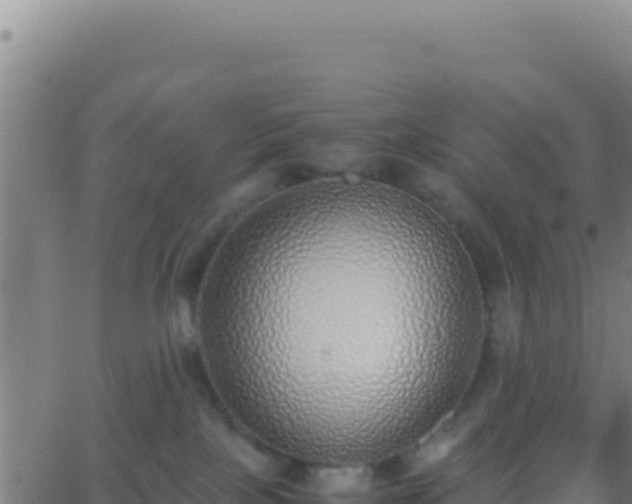 X0000062930089200601202037