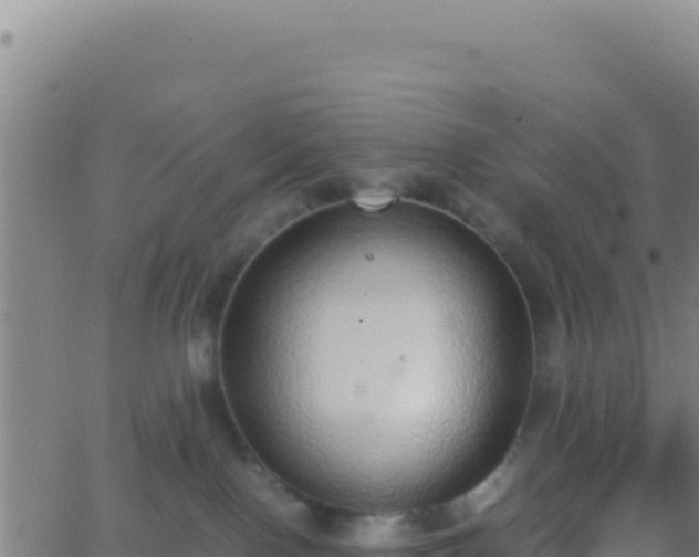 X0000062930090200601202037