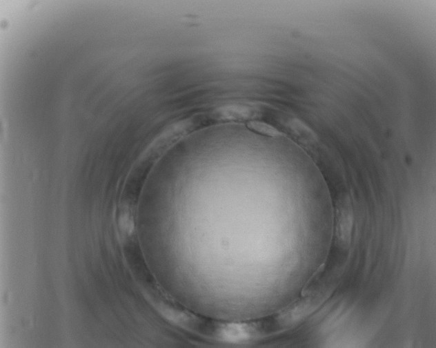 X0000062930091200601202038