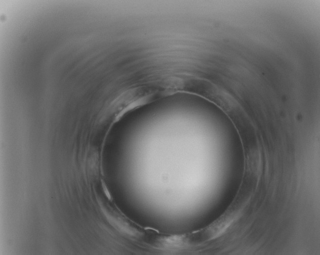 X0000062930092200601202038