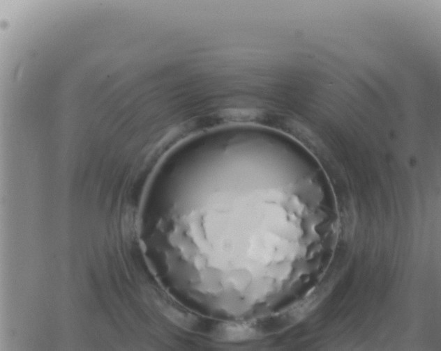 X0000062930093200601202038