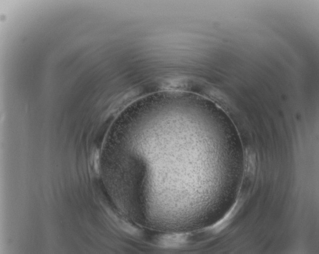 X0000062930094200601202038