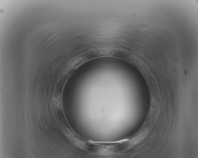 X0000062930096200601202038