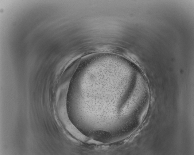 X0000062930097200601202037