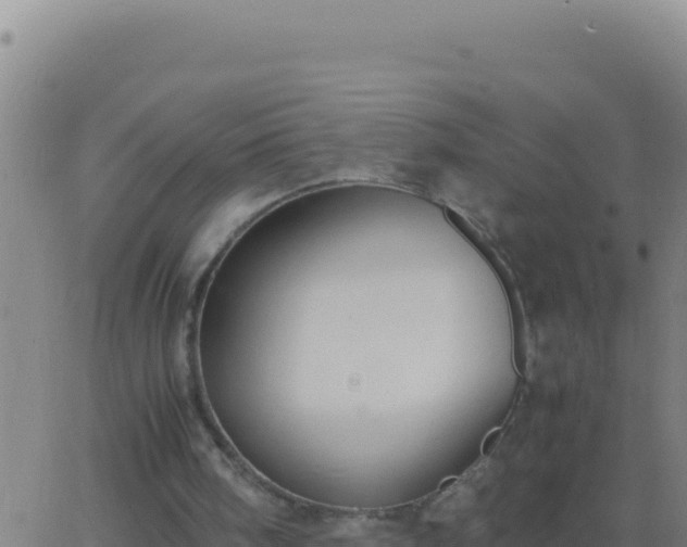 X0000062930098200601202037