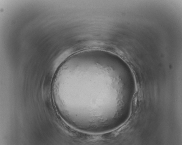 X0000062930099200601202037