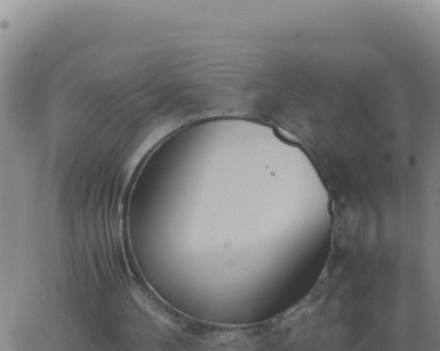 X0000062930100200601202037