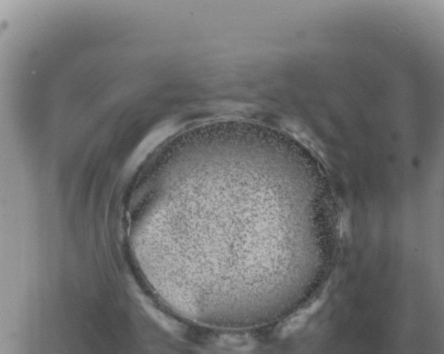 X0000062930101200601202037