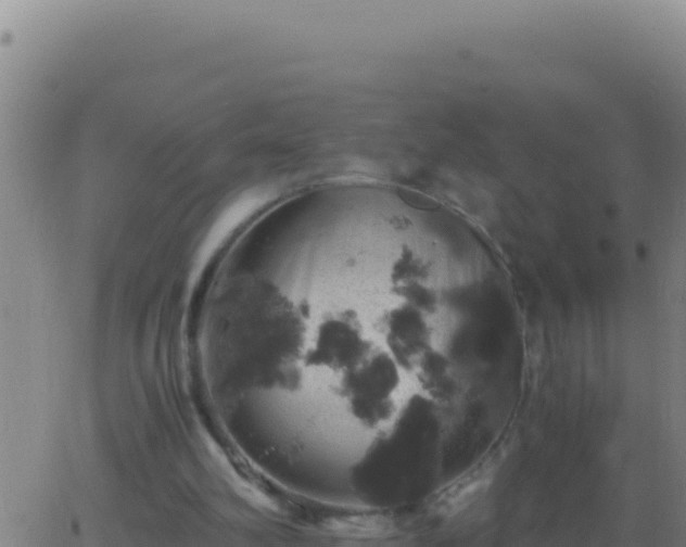 X0000062930102200601202037