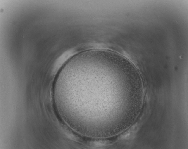 X0000062930103200601202037