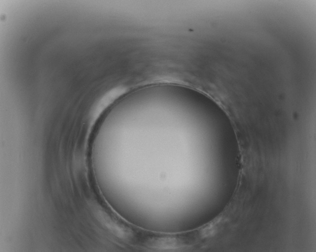 X0000062930104200601202037