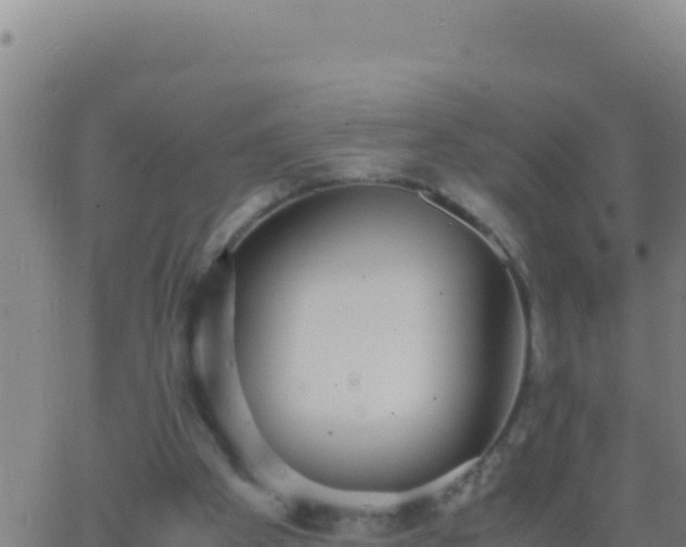 X0000062930105200601202037