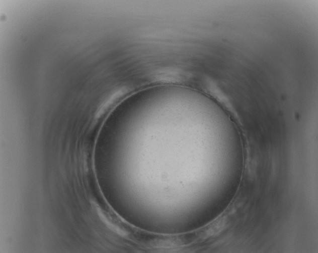 X0000062930106200601202037