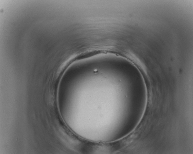 X0000062930107200601202037