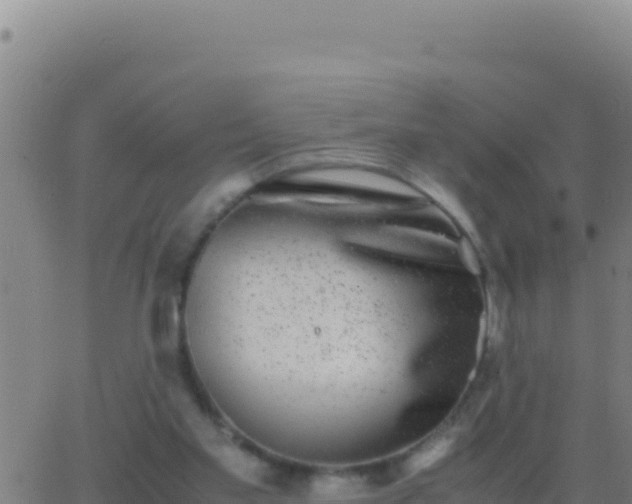 X0000062930109200601202037