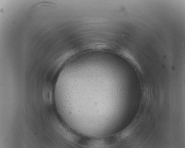 X0000062930110200601202037