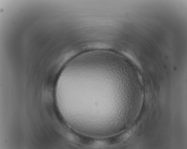 X0000062930111200601202037