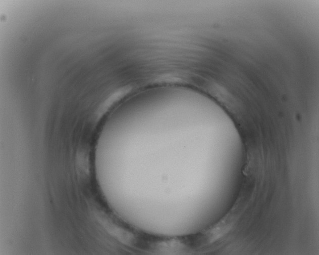 X0000062930112200601202037