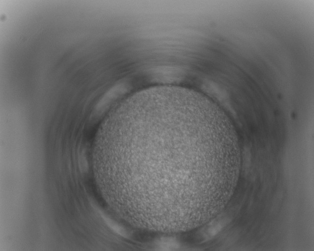 X0000062930114200601202037