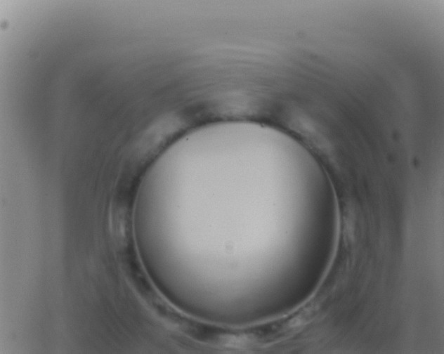 X0000062930115200601202037